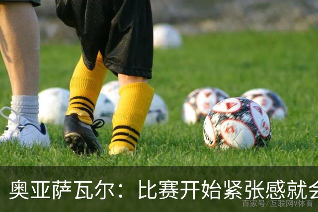 奥亚萨瓦尔：比赛开始紧张感就会消失 2010年世界杯印象不可磨灭